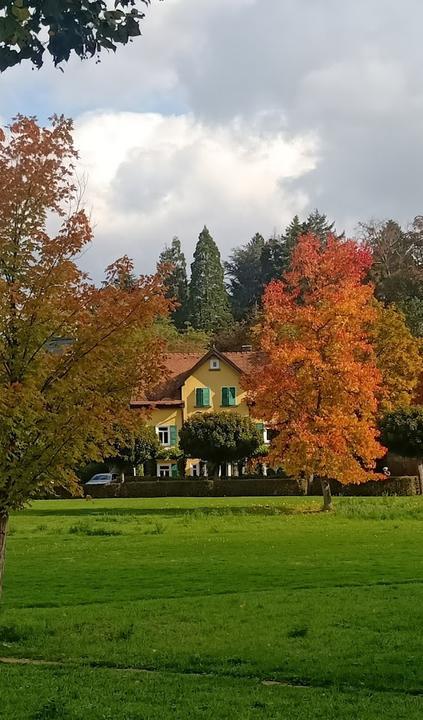 Gasthaus Storchen