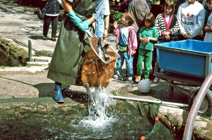 Zordel Fischzuchten