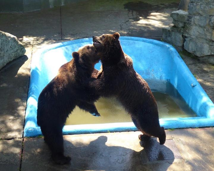 Wild- Und Freizeitpark